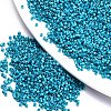 11/0 Grade A Baking Paint Glass Seed Beads X-SEED-S030-1041-1