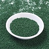MIYUKI Round Rocailles Beads X-SEED-G007-RR2048-2