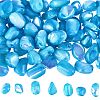 SUNNYCLUE 100Pcs Natural Trochid Shell/Trochus Shell Beads BSHE-SC0001-16A-1