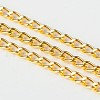 Iron Twisted Chains Curb Chains CHS003Y-G-1