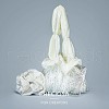 Preciosa® MAXIMA Crystal No Hotfix Flatback Stones Y-PRC-NSS10-20110-4