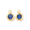 304 Stainless Steel Charms STAS-Z115-01G-13-1