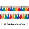 Polyester Tassels Ribbon OCOR-WH0047-30-2