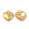 Ion Plating(IP) 304 Stainless Steel Charms STAS-A070-30G-1