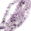Natural Lepidolite/Purple Mica Stone Beads Strands G-G0003-B07-1