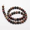 Natural Polychrome Jasper/Picasso Stone/Picasso Jasper Frosted Bead Strands G-O155-03A-10mm-2