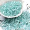 Luminous Glass Seed Beads SEED-A033-07H-2