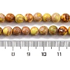 Dyed Natural Regalite/Imperial Jasper/Sea Sediment Jasper Beads Strands G-B124-C02-04-3