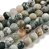 Natural Tree Agate Frosted Agate Round Gemstone Beads Strands G-O151-01-6mm-2
