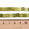 Natural Xiuyan Jade Beads Strands G-N346-05A-08-5