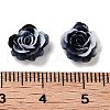 Luminous Resin Decoden Cabochons RESI-K036-62-3