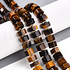 Natural Tiger Eye Beads Strands G-T140-29-1