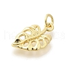 Brass Pendants KK-L225-030G-2