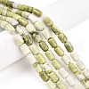 Natural Jade Beads Strands G-N346-01B-13-1