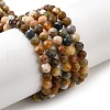 Natural Agate Beads Strands G-G991-A03-A-01A-2