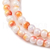Pearlized Handmade Lampwork Beads Strands LAMP-R020-04A-3