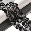 Natural Snowflake Obsidian Beads Strands G-I377-A28-1