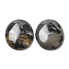 Natural Dendritic Jasper Cabochons G-F608-02A-01-3