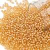 TOHO Round Seed Beads X-SEED-TR11-0955-1