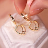 Alloy Clear Cubic Zirconia Dangle Earrings FS-WGAEA82-01-3
