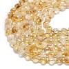 Natural Citrine Beads Strands G-K389-B70-01-3