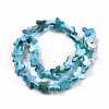 Natural Freshwater Shell Beads Strands SHEL-N026-206A-2