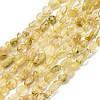Natural Gold Rutilated Quartz Beads Strands G-K395-A09-01-2