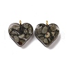 Transparent Resin Natural Chalcopyrite Jasper Dyed Chips Pendants G-E185-12G-09-2
