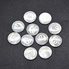 Shell Cabochons SSHEL-E568-B02-2