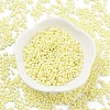 Baking Paint Glass Seed Beads SEED-A033-05E-2