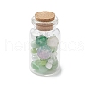 6Pcs Lampwork Beads & Glass Seed Beds Wishing Bottles AJEW-JD00017-4