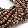 Natural Rainforest Agate Round Bead Strands G-P075-45-6mm-1