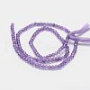 Natural Amethyst Bead Strands G-P271-3mm-09-3