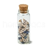 3Pcs Transparent Glass Wishing Bottle Decoration PALLOY-JF03371-4