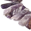 Natural Amethyst Beads Strands G-S386-D16-4