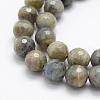 Natural Labradorite Beads Strands G-P322-32-4mm-3