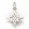 Brass Micro Pave Cubic Zirconia Charms ZIRC-Q015-041P-2