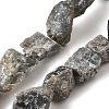 Natural Labradorite Beads Strands G-S386-C07-2