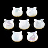 Natural White Shell Beads SSHEL-N034-124B-1