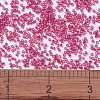 MIYUKI Delica Beads SEED-X0054-DB2154-4