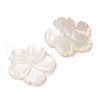 Natural White Shell Beads SSHEL-C012-23B-2