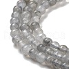 Natural Labradorite Beads Strands X-G-G140-D02-02-4