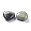 Natural Black Silver Leaf Jasper Heart Love Stone G-K416-04C-01-2