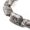 Natural Map Stone Beads Strands G-S386-A13-4