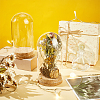 Glass Dome Cover AJEW-WH0083-47B-5