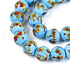 Handmade Lampwork Beads Strands LAMP-N028-05E-3