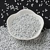 Baking Paint Glass Seed Beads X-SEED-S042-15A-01-3