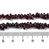 Natural Garnet Beads Strands F065-01A-3