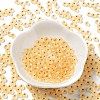 6/0 Glass Seed Beads SEED-Z001-B-E21-2