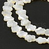 Natural White Shell Beads Strands SHEL-F003-07-6